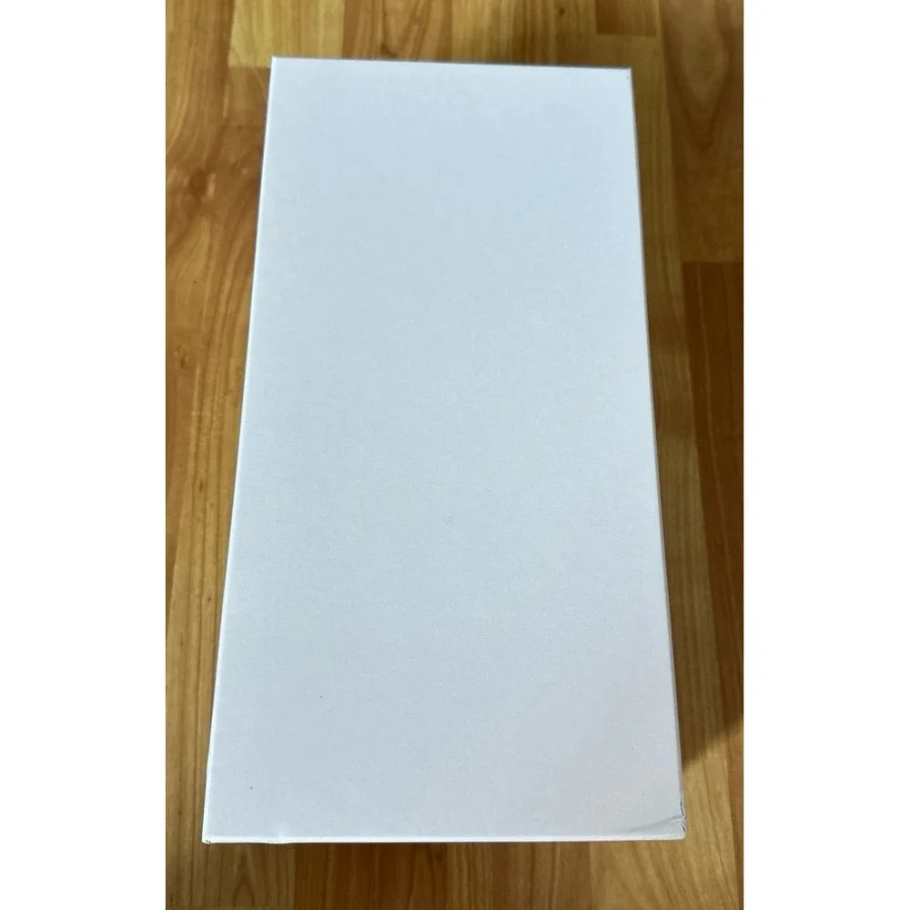 Ferragamo Ballerina empty shoe box